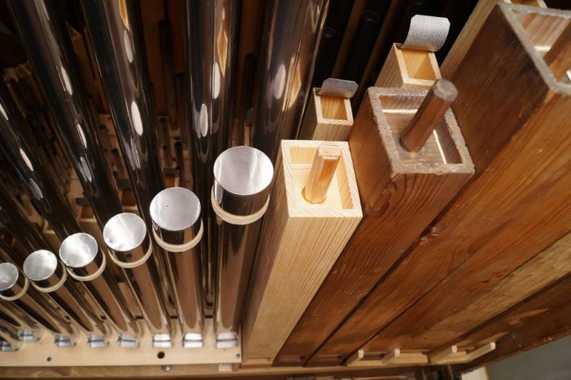 Orgeldetailfoto Christoph-Gottlob-Donati-Orgel Lichtenwalde